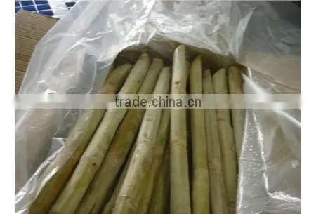 Frozen Sugarcane From VietNam QQ : 2598494113 photo-3