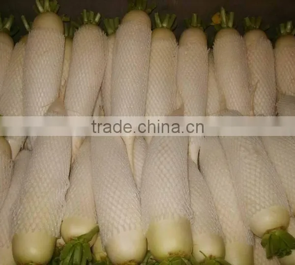 2016 New Crop Fresh White Raddish (china)