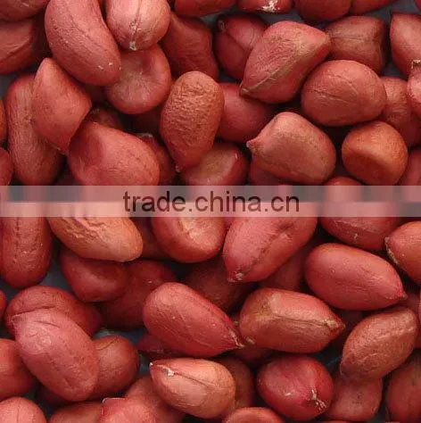 Bold Reddish Peanuts for Sales photo-4