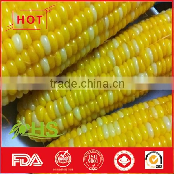 Frozen Vegetables of Sweet Corn Kernels photo-4