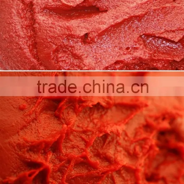 70g Good Taste Canned Tomato Paste photo-4