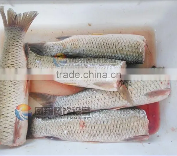 Commercial Fish Head Cutter Cutting Processing Machine photo-4