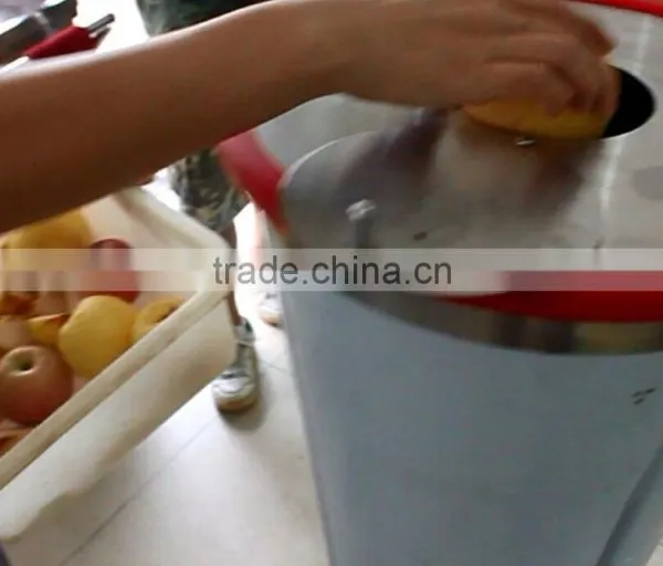 FC-310 Hot Sale Vegetable and Fruit Juice Maker Making Machine photo-4
