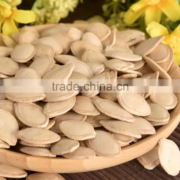 9-11mm Pumpkin Seeds From Inner Mongolia photo-4