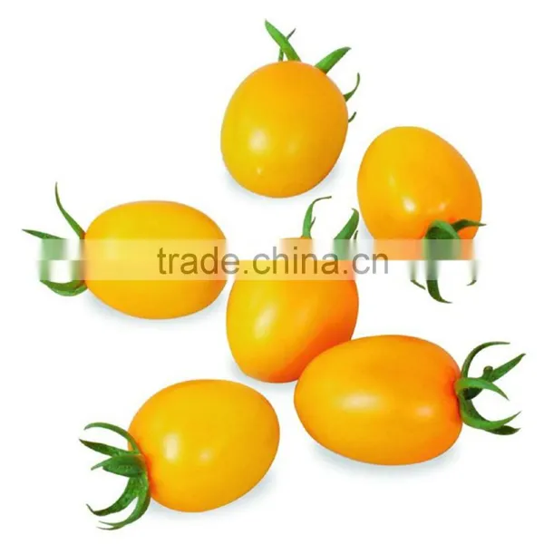 Yellow High Quality Cheap Price Cherry Tomato Seeds From China