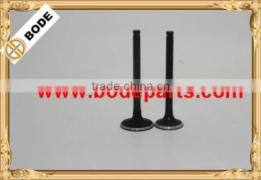 Lifan 110cc Engine Valves