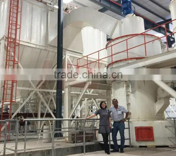 Mexico Clay Grinding Mill / Mining Equipment for Clay Powder Making With Cheap Price photo-2