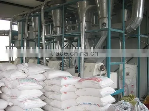 Professional Manufacturer of Automatic Grain Processing Turnkey Plant photo-6