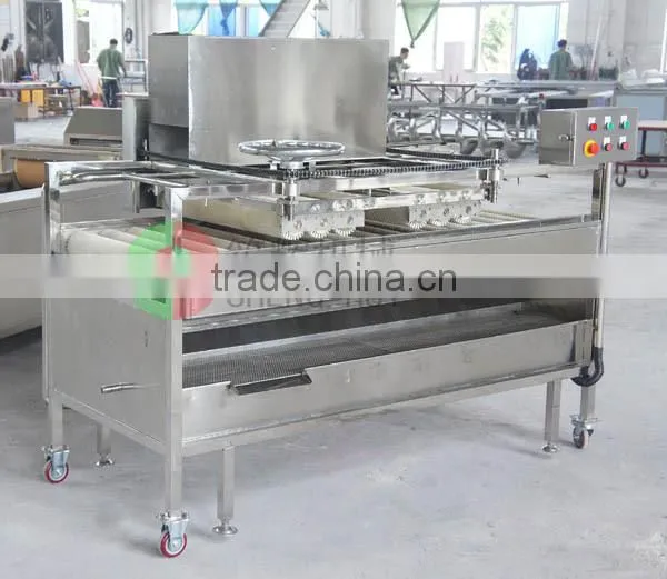 Shenghui Hot Sale Sweet Potato Washing and Peeling Machine photo-4