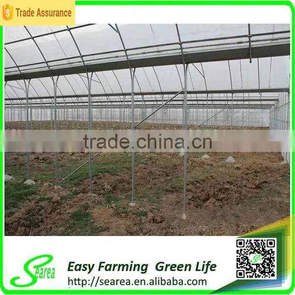 Economical Plastic Green House for Agriculture photo-3