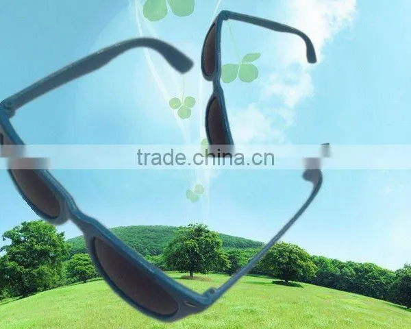 Plastic Sunglasses