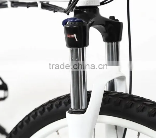 Chinese Electric Foldable Mountain Bike With Low Price photo-6