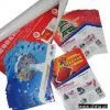 Flyers and Pamphlets