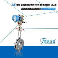 Digital Flowmeter Orifice Plate (Throttling Device)