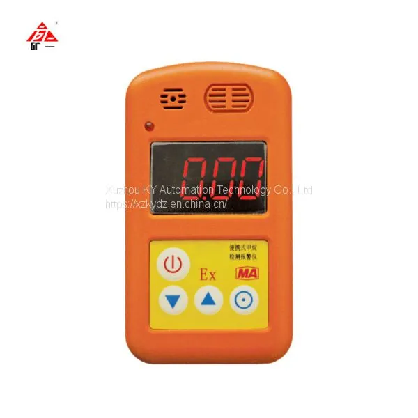 CH4 and H2S Gas Detector