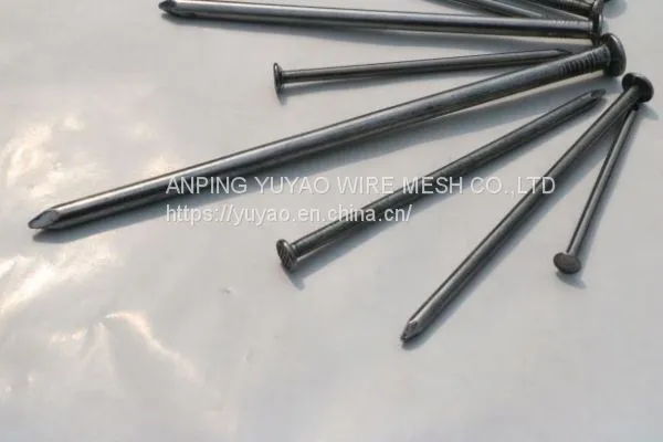Cheap Wire Galvanized Common Nails Price for Construction photo-3