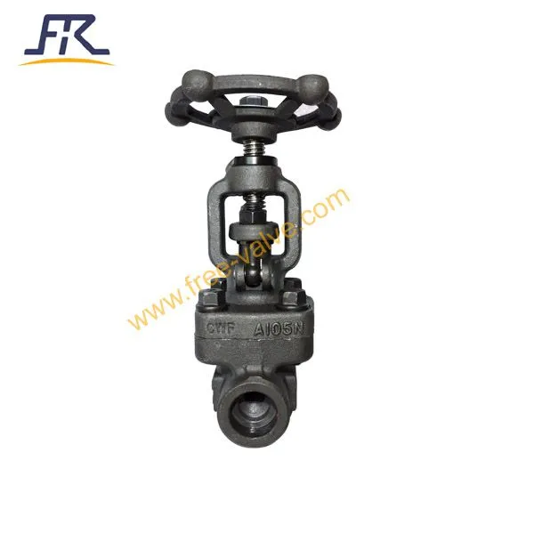 Socked Welding Type Globe Valve photo-4