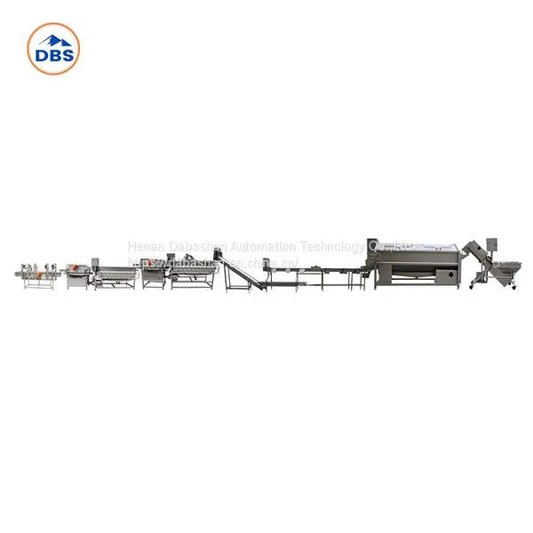 Leafy Vegetable Processing Line