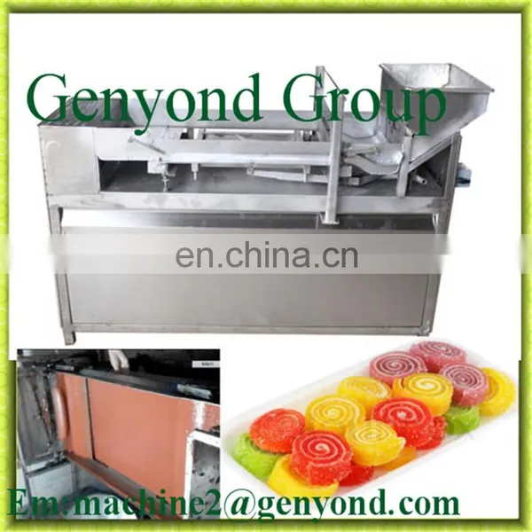 Factory Genyond Full Automatic Fruit Leather Production Line Processing Plant Roll up Scraping Forming Drying Making Machine photo-4