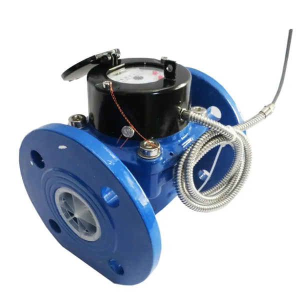 Remote Water Meter