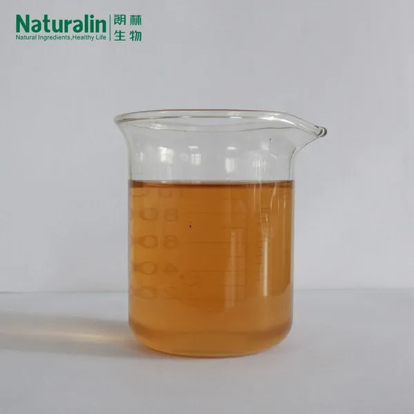 Cordyceps Extract photo-3