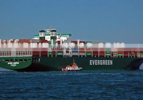 Sea Freight Shipping Company China to Canada USA America Australia France Spain Germany England UK Singapore photo-6