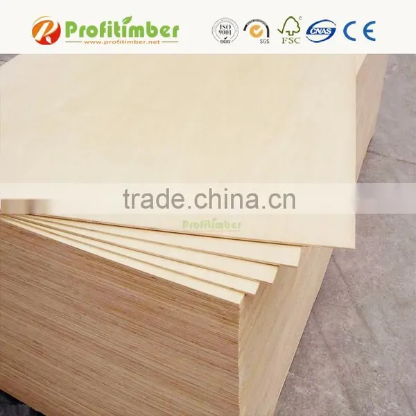 China Softwood Full Poplar Plywood Price photo-5