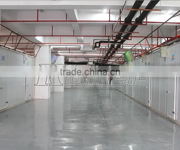 Koller Hot Sale Small Capacity Cold Storage Room With Refrigerators for Fruits VCR20 photo-6