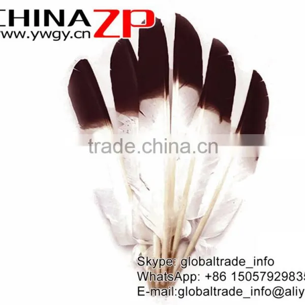 ZPDECOR Hot Selling Plumag Crafts Factory Dyed Brown Tipped Turkey Pointers Quill Large Feathers for Fashion Decorations photo-2