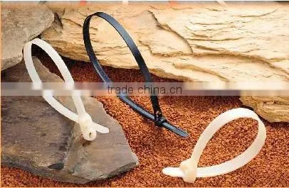 Cable Management UL ROHS Reach Flexible Plastic Cable Tie