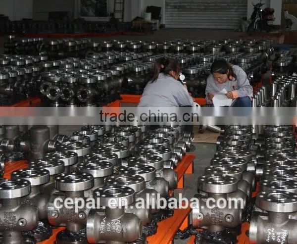 Expanding Gate Valve Threaded End Type photo-4