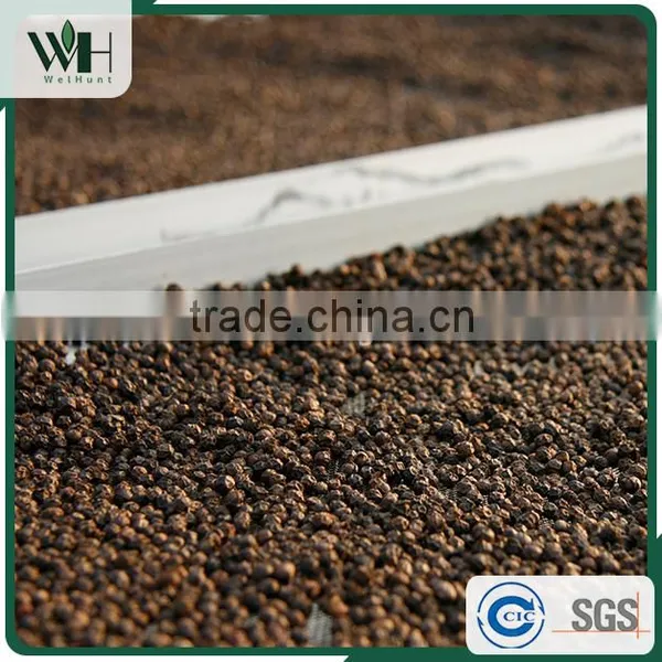 Vietnam Pure Natural Black Pepper 550gl 500gl for Extract photo-6