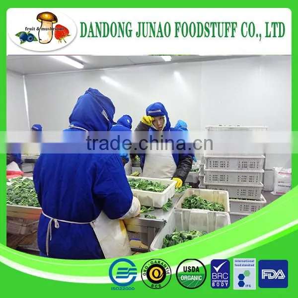 Frozen Fruits and Vegetables Manufacturer IQF Broccoli Frozen photo-2
