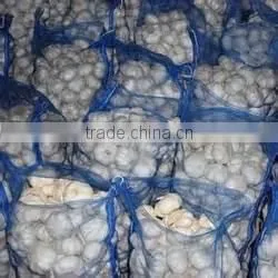 China Fresh Cheap Price Garlic
