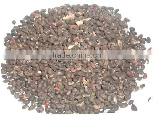 DELINTERED COTTON SEED