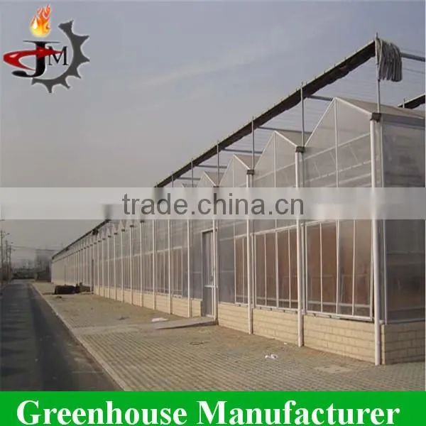 Desert and Semi-arid Greenhouse for Tomato Lettuce Strawberry photo-6