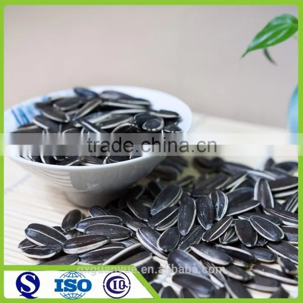 Edible Long Shape Sun Flower Seeds for Sale