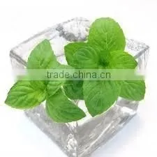 Natural Menthol