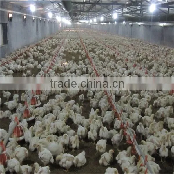 Automatic Chicken Feeder Pan Equipment photo-4