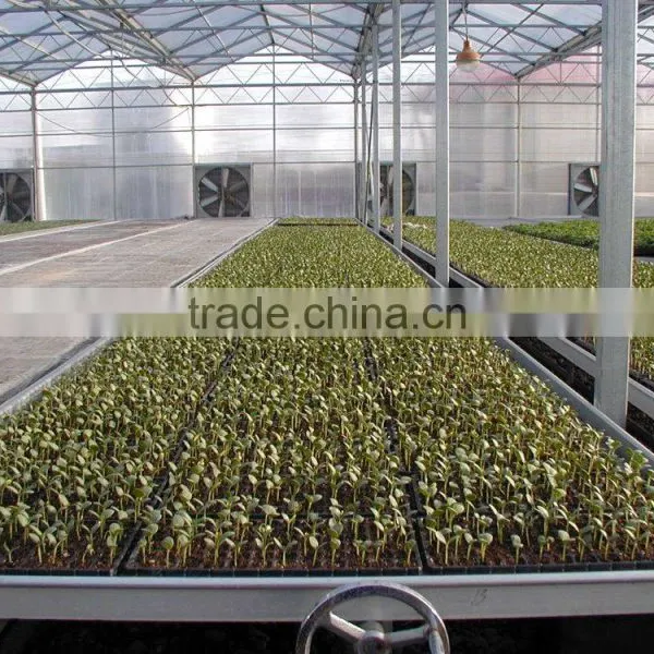 Economical Multi-span Greenhouse For Agriculture Polycarbonate Sheet photo-2