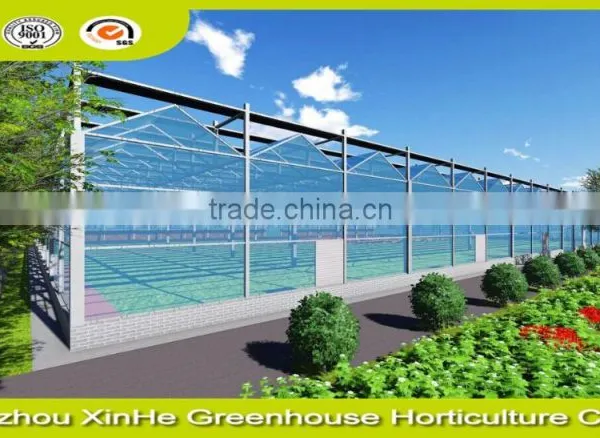 Hydroponic Greenhouse Systems/Selling Used Greenhouse For Agriculture And Horticulture photo-6
