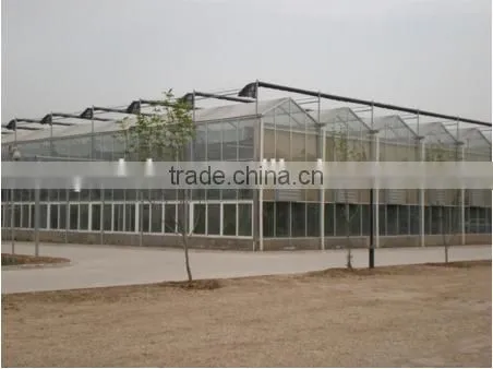Cheap Price Used Commercial Galvanized Steel Greenhouse Frames For Sale