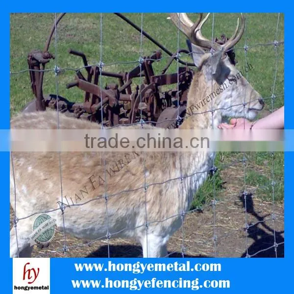 Sheep Wire Netting photo-4