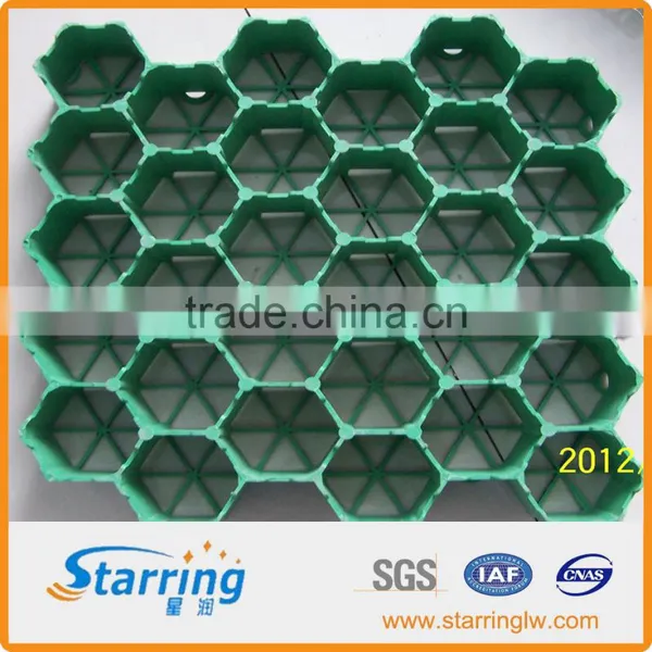 Grass Parking Grid photo-4