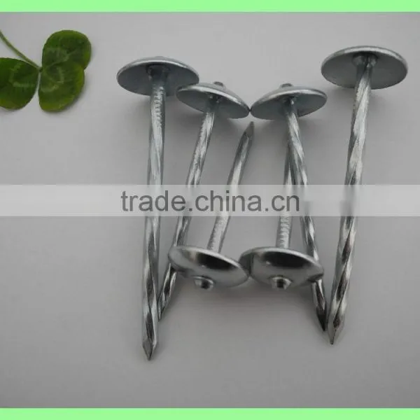 Kenya Umbrella Roofing Nails photo-6