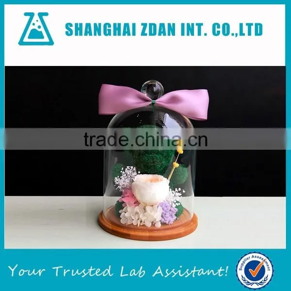 Glass Shade Preserved Flower Cover