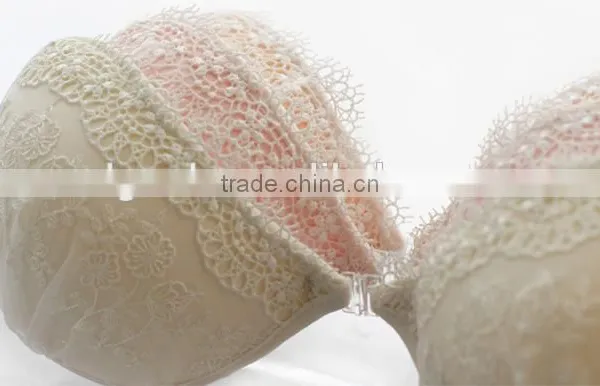 Ladies Transparent Dress Lingerie Penti Open Cup Bra photo-2