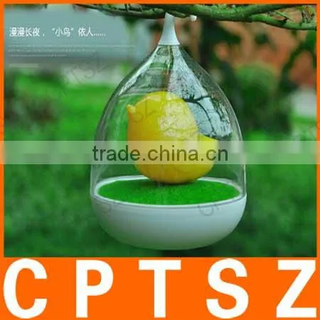 New Products Charge a Birdcage Lamp Led Night Light Cartoon Creative Sensor Lights photo-6