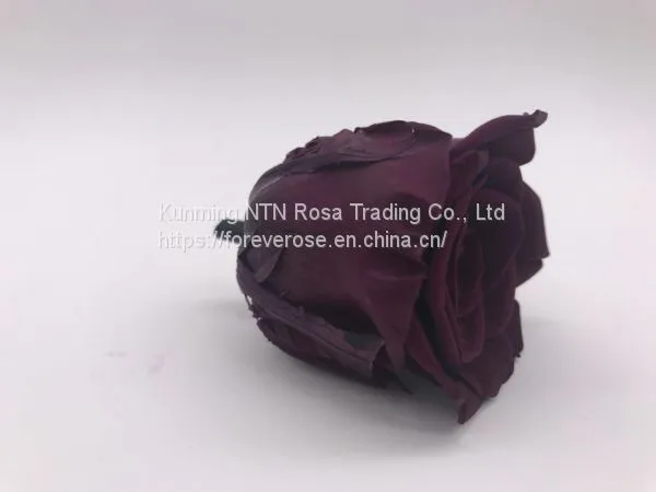 Preserved Rose Gift Arrangement Preserved Flowers photo-3