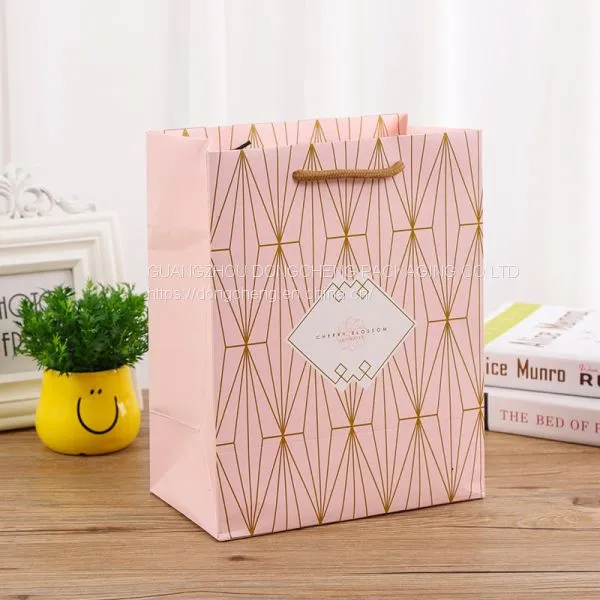 Small Shopping Paper Gift Packaging Luxury Bag